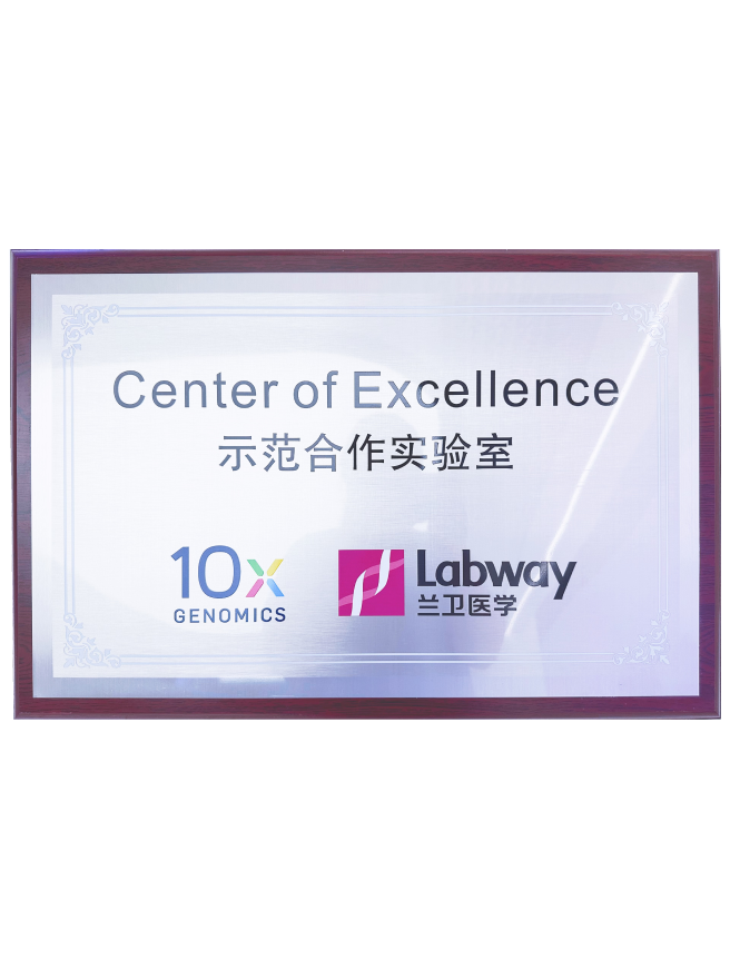 03 CA88��10Xʾ������������.png